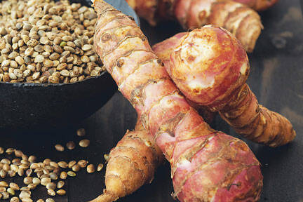 Topinambur | Lebensmittel-Warenkunde | Küchengötter