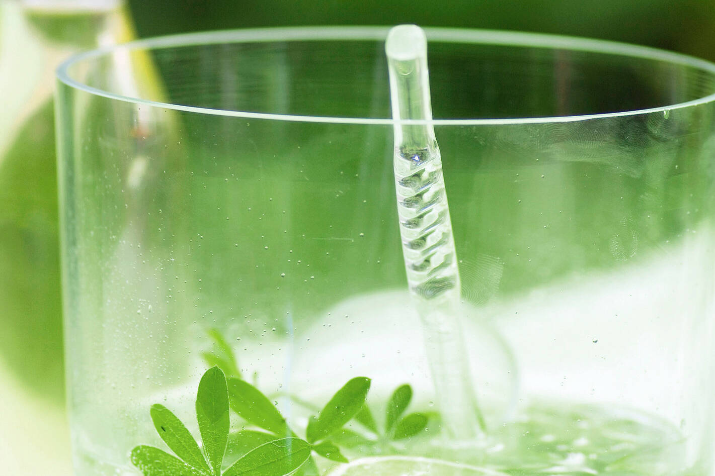 Waldmeisterbowle Rezept - Maibowle selber machen | Küchengötter Waldmeisterbowle Rezept - Maibowle selber machen | Küchengötter