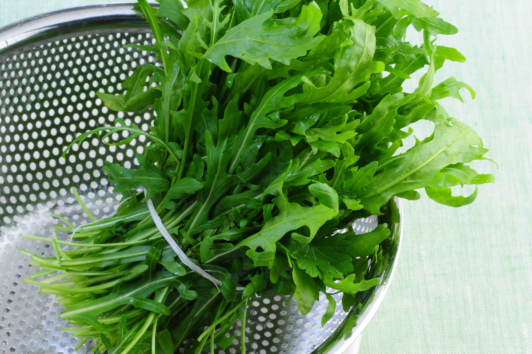 Rucola | Lebensmittel-Warenkunde | Kchengtter