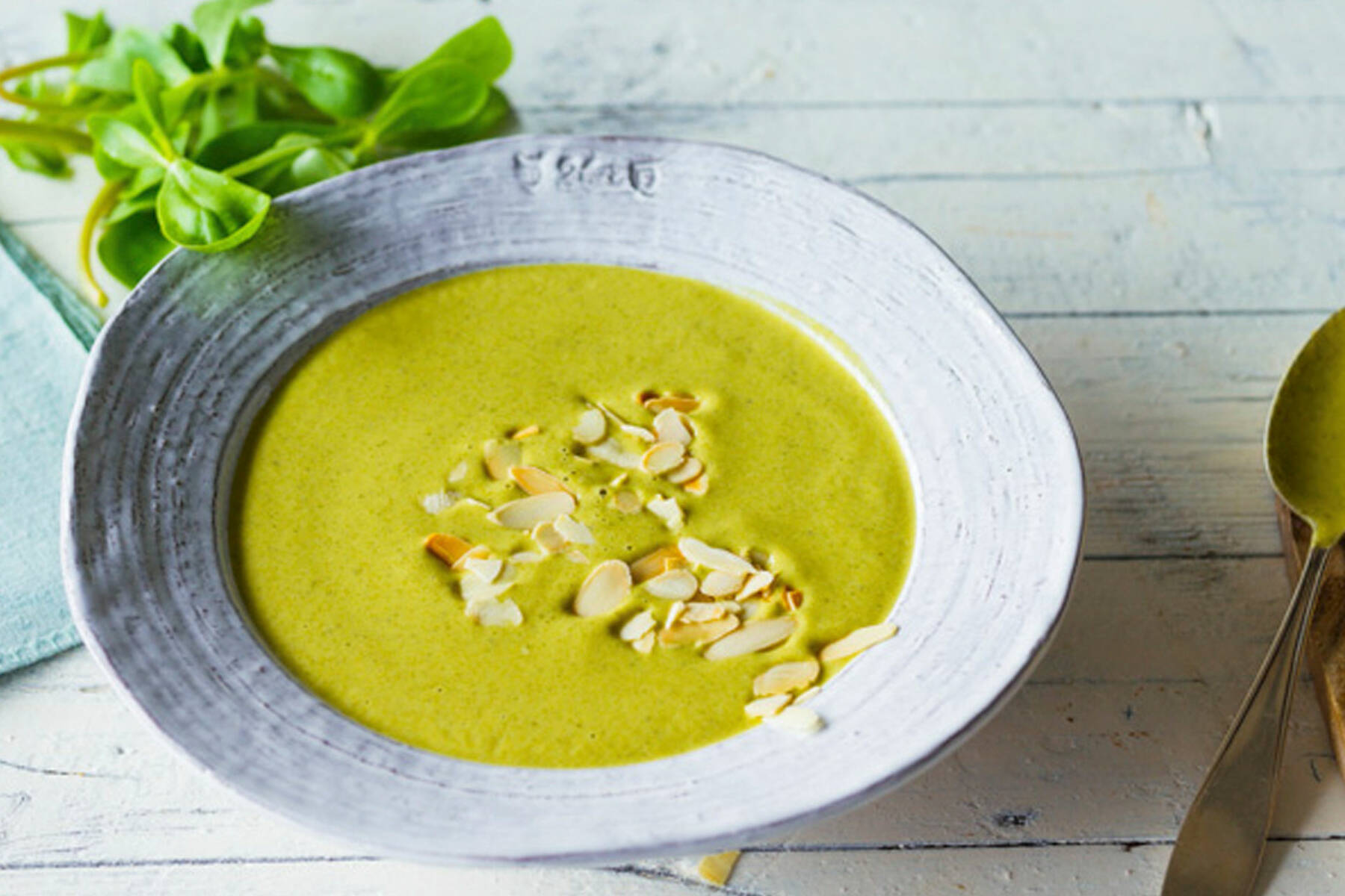 Zucchinisuppe - Rezepte Suchen Zucchinisuppe - Rezepte Suchen