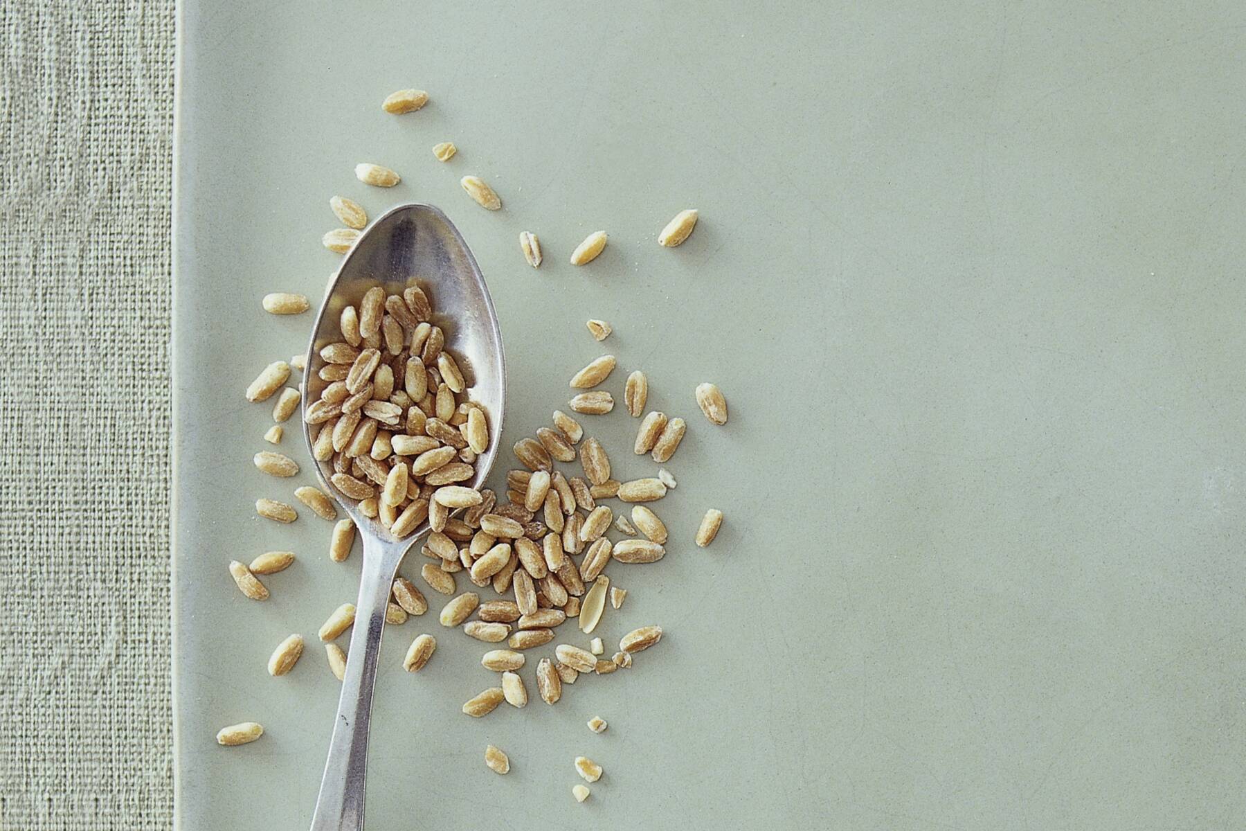 Dinkel | Lebensmittel-Warenkunde | Küchengötter