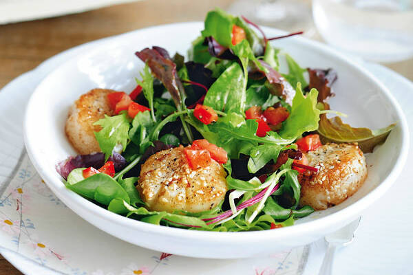 Feldsalat Mit Jakobsmuscheln - Rezepte Suchen Feldsalat Mit Jakobsmuscheln - Rezepte Suchen