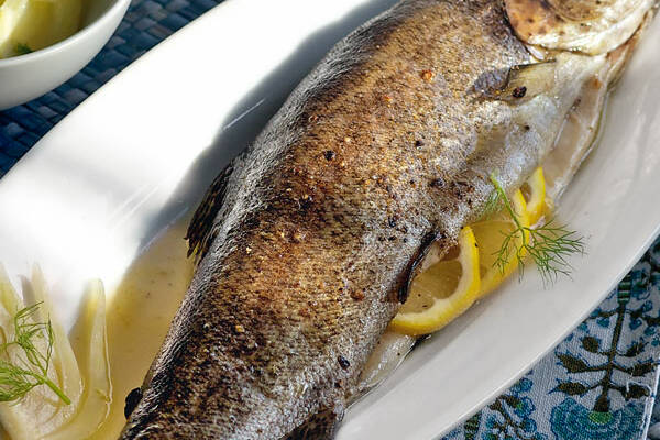 Forelle in der Folie mit Fenchel Rezept | Küchengötter Forelle in der Folie mit Fenchel Rezept | Küchengötter