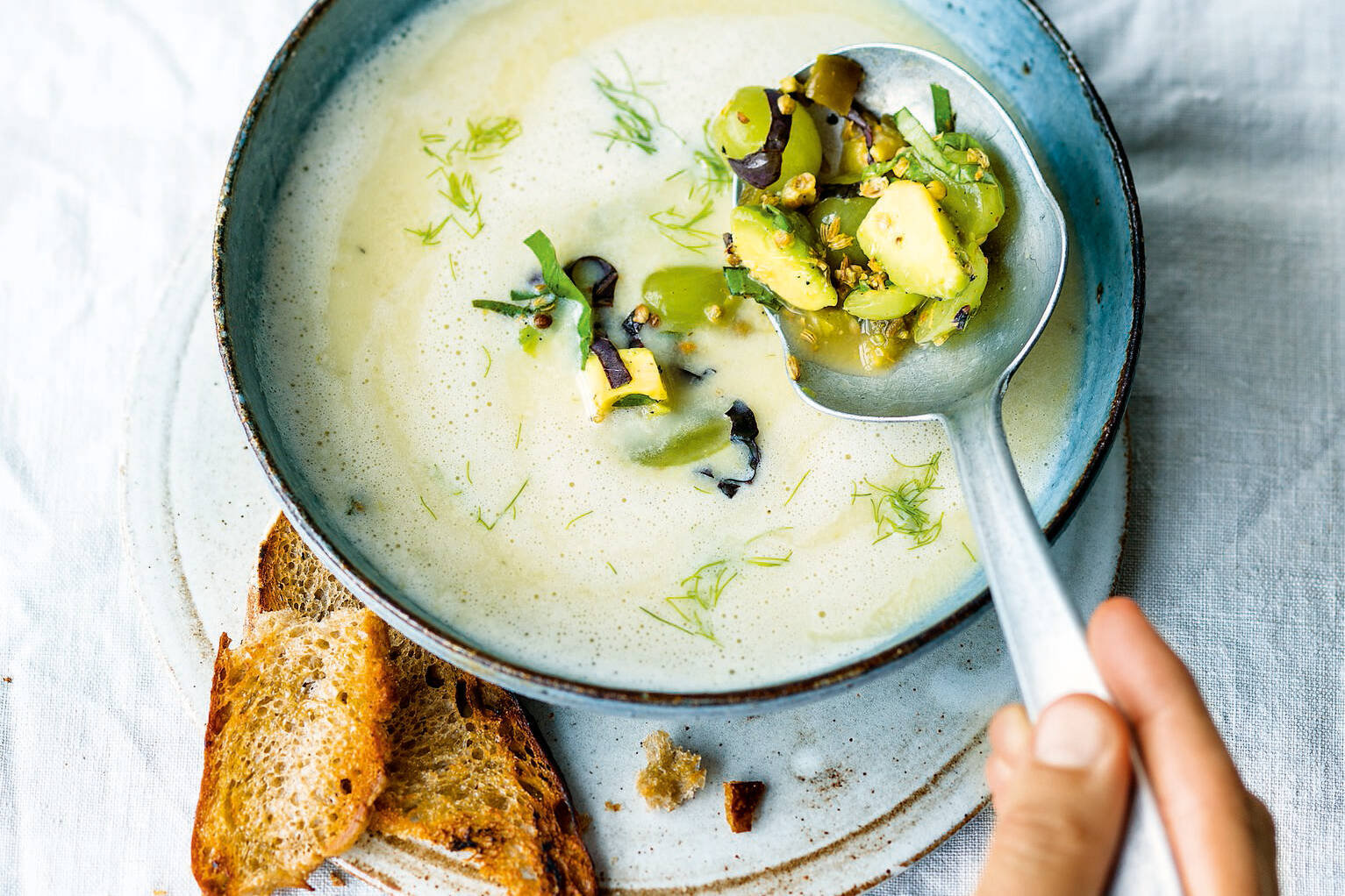 Fenchelcremesuppe mit Weintraubensalsa Rezept | Küchengötter Fenchelcremesuppe mit Weintraubensalsa Rezept | Küchengötter