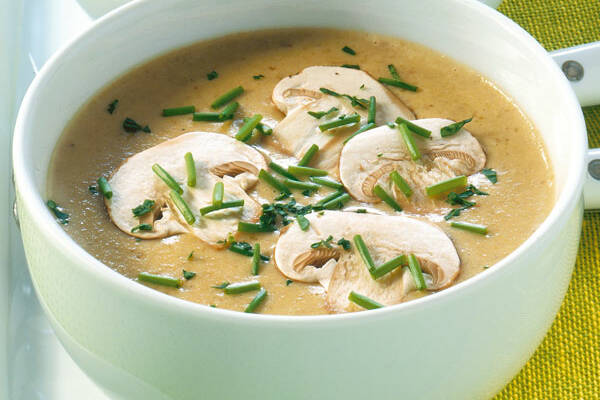 Pilzcremesuppe Rezept Kuchengotter