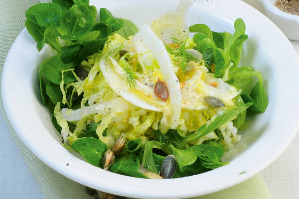 Fenchel-Chinakohl-Salat Rezept | Küchengötter Fenchel-Chinakohl-Salat Rezept | Küchengötter