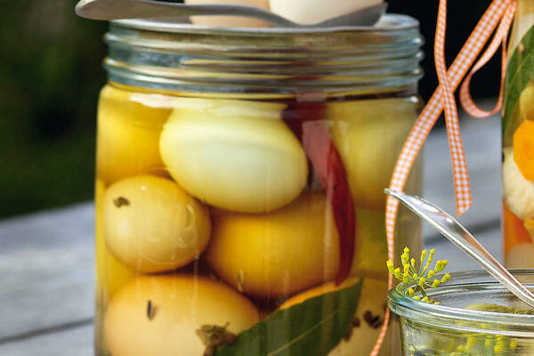 42797-soleier /upload/thumbnail1/2025/2/24/197339/thumb2