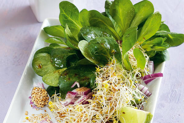 Feldsalat mit Sprossen Rezept | Küchengötter Feldsalat mit Sprossen Rezept | Küchengötter