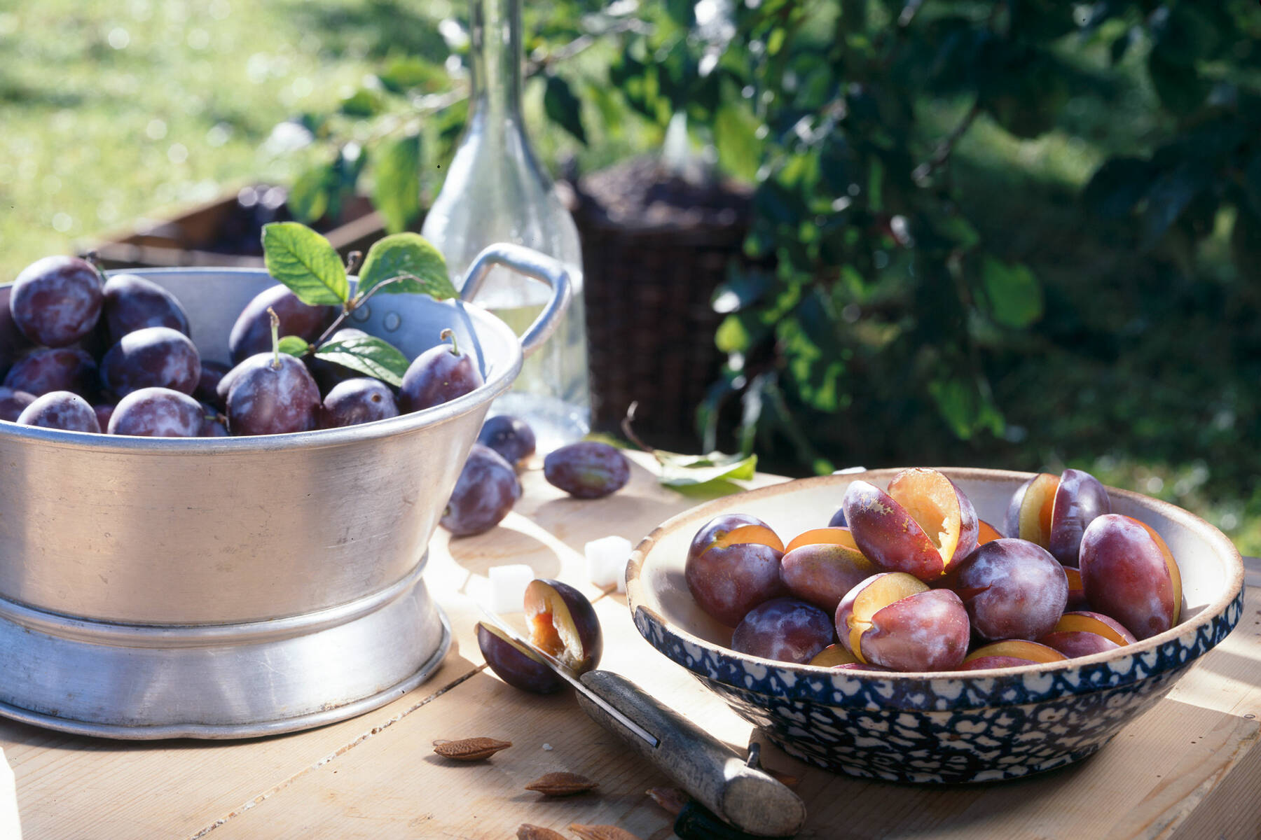 Zwetschgen & Pflaumen Rezepte | Küchengötter