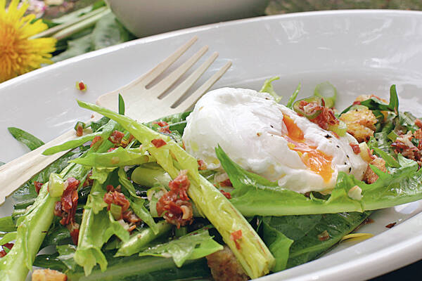 Löwenzahnsalat mit Speck Rezept | Küchengötter Löwenzahnsalat mit Speck Rezept | Küchengötter