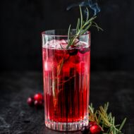 Gin Tonic mit Cranberry
