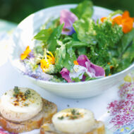 Kräuter-Blüten-Salat mit Ziegenkäse und Holundervinaigrette