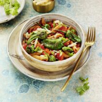 Pimientos-Paprika-Penne Pimientos-Paprika-Penne