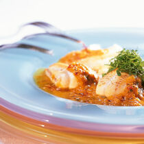 Fisch mit Paprika-Safran-Sauce