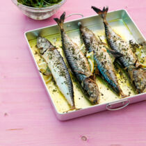 Gegrillte Makrelen mit Rucolasalat Gegrillte Makrelen mit Rucolasalat