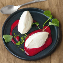 Frozen Joghurt mit Himbeerpüree Frozen Joghurt mit Himbeerpüree