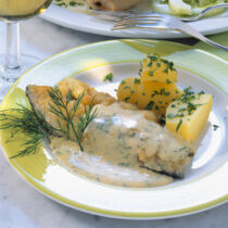Gebratene Schleie in Dillsauce Gebratene Schleie in Dillsauce