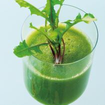 Wilde Hilde Wilde Hilde