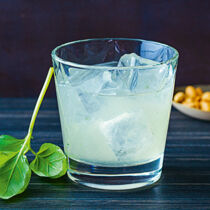 Gin Basil Smash Gin Basil Smash