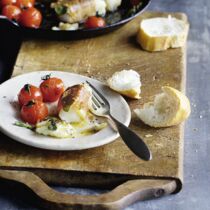 Kabeljau-Saltimbocca mit Tomaten Kabeljau-Saltimbocca mit Tomaten