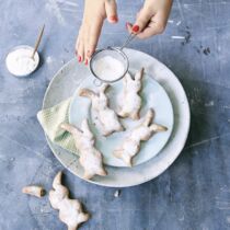 Quarkhasen Quarkhasen