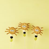 Knabberspinnen Knabberspinnen