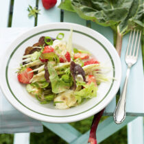 Blattsalat mit Erdbeeren und Rhabarberdressing