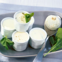 Gurken-Käse-Mousse Gurken-Käse-Mousse