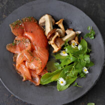 Gebeizter Pfefferlachs mit frischem Dill Gebeizter Pfefferlachs mit frischem Dill