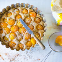 Aprikosenvollkornkuchen