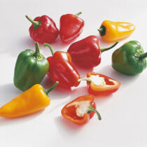 Paprika