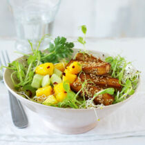 Mango-Gurken-Sprossensalat mit Sesam-Tofu-Sticks Mango-Gurken-Sprossensalat mit Sesam-Tofu-Sticks