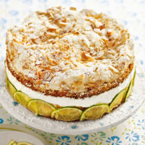 Limetten-Kokos-Torte Limetten-Kokos-Torte
