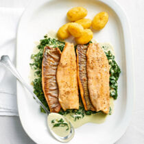 Saibling mit Zwiefe-Wurzelspinat Saibling mit Zwiefe-Wurzelspinat