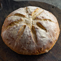 Sonnenblumenbrot Sonnenblumenbrot