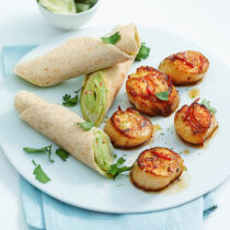 Jakobsmuscheln mit Tortillas Jakobsmuscheln mit Tortillas