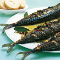Marinierte gegrillte Makrelen