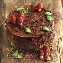 Baumstammtorte Baumstammtorte