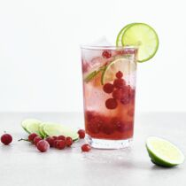 Cranberry-Lime-Spritzer Cranberry-Lime-Spritzer