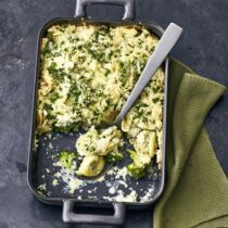 Tortellini-Pastinake Tortellini-Pastinake