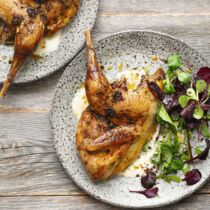 Würziger Fasan Würziger Fasan