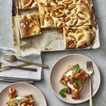 Wiener Aprikosenkuchen Wiener Aprikosenkuchen