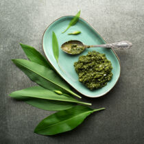 Bärlauchspinat Bärlauchspinat