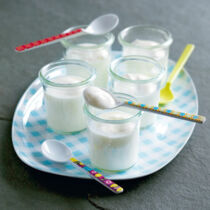 Joghurt Grundrezept Joghurt Grundrezept