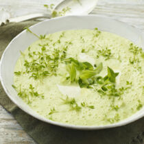 Kohlrabicremesuppe mit Kresse Kohlrabicremesuppe mit Kresse
