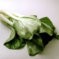 Pakchoi