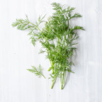 Dill