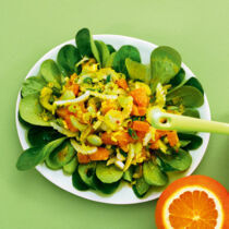 Sellerie-Orangen-Salat