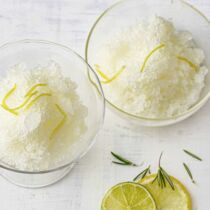 Limetten-Zitronen-Granita