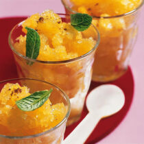 Orangen-Limetten-Granita